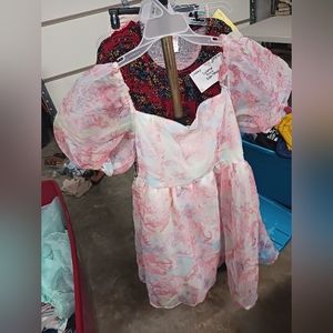 Pink Floral princess dress